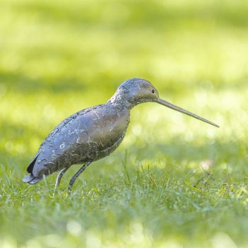Metalen tuinbeeld van een steltloper, gemaakt door een Afrikaanse kunstenaar. 